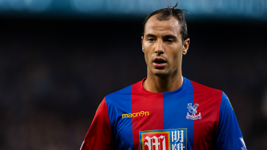 Marouane Chamakh Fortune