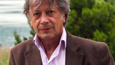 Hervé Vilard Fortune