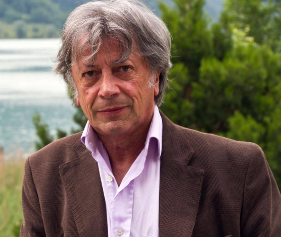 Hervé Vilard Fortune