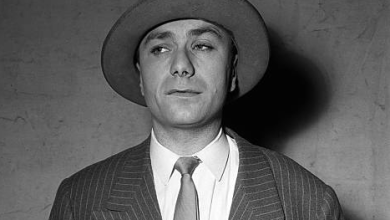 Fernand Raynaud Fortune